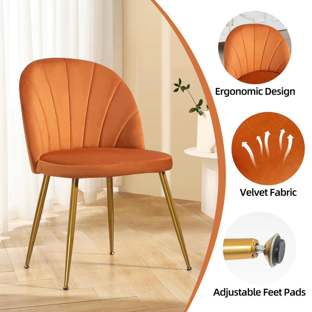 Velvet Dining Chairs Set of 4, Upholstered Mid Century Modern Dining Chairs, Armless Accent Chair with Metal Gold