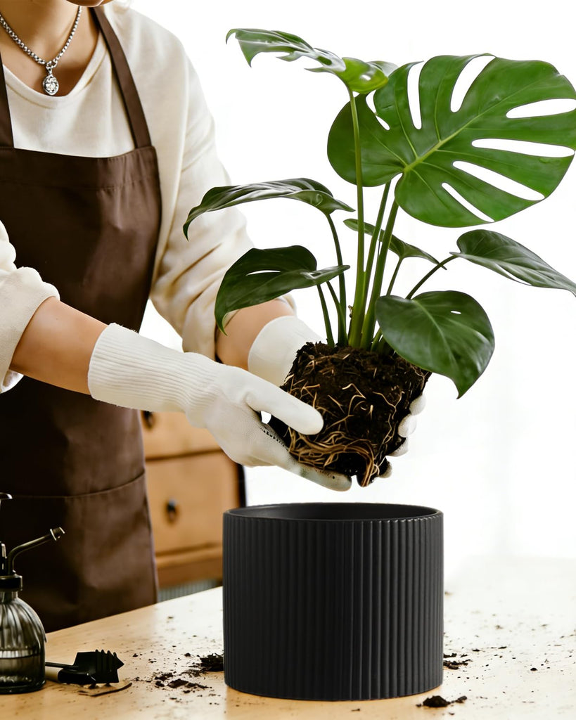 Matte Black Ceramic Plant Pots, 8.1 + 6 Inch Planters for Indoor Plants, Modern Flower Pots with Drainage, Two-Sizes