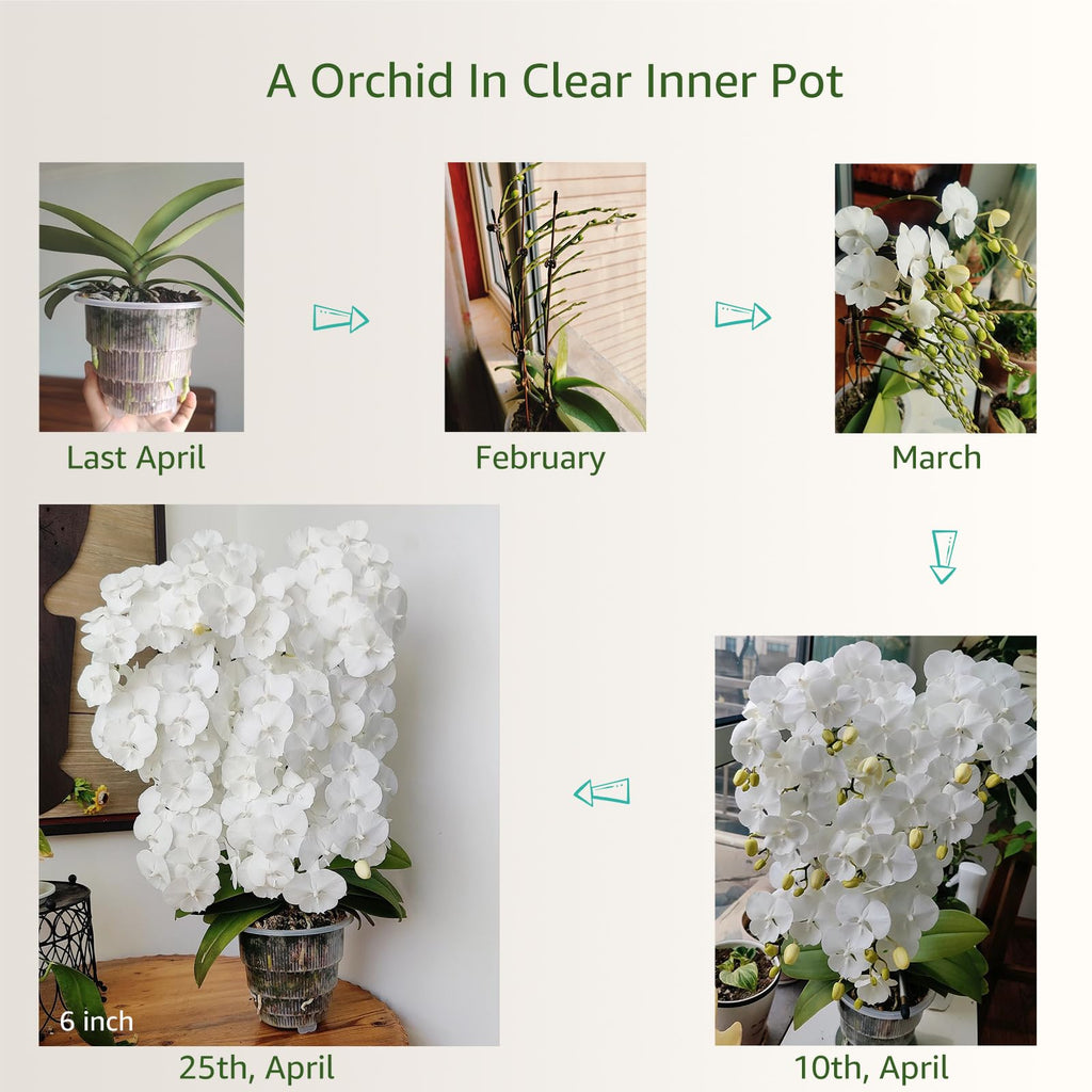 Orchid Pots with Holes for Repotting, Double Layer Plastic Imitate Ceramic Orchid Planter Provide Good Air