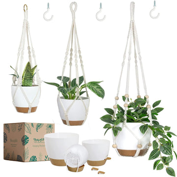 3 Set Self Watering Hanging Planters for Indoor Plants