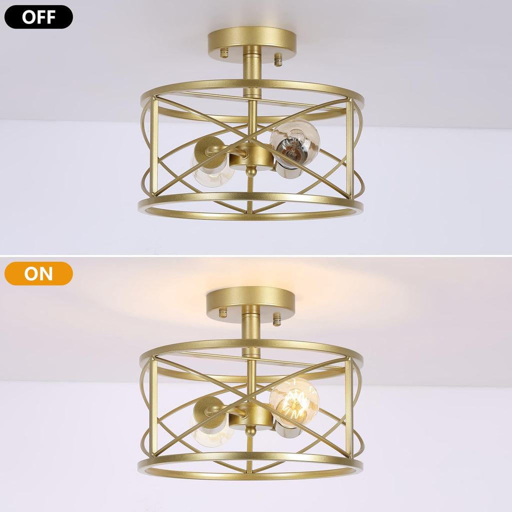2-Light Semi Flush Mount Matte Gold Ceiling Light Fixture, Farmhouse Industrial Metal Cage with Adjustable Height