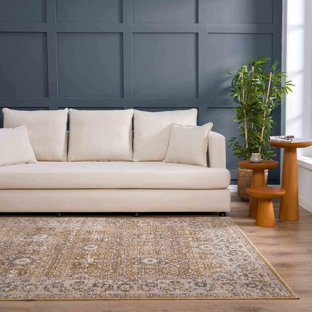 Wagner Living Room, Bedroom Area Rug - Floral Traditional Border Medallion Distressed - Traditional Oriental