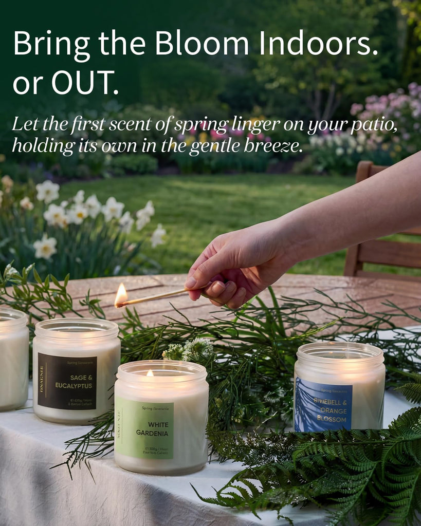 Sage Candles, 11.6oz Natural Soy Wax, 70 Hours Long Lasting