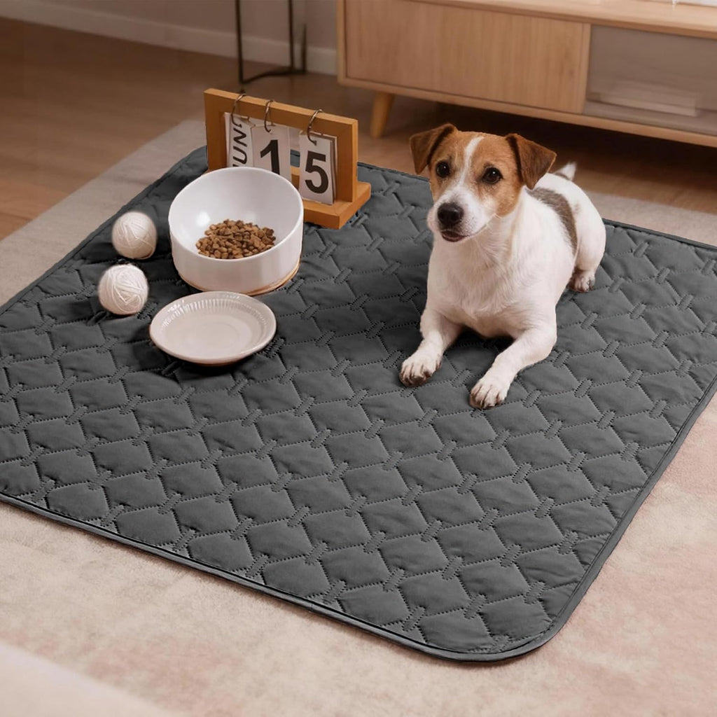 Waterproof Armchair Covers for Pets, Anti Hair and Easy Care