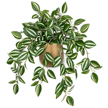 Faux Plants Indoor 17.7in Fake Watermelon Peperomia Plant in Gold Pot with Realistic Silk Green Leaves Artificial