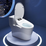 Toilet Bidet Seat, Instant Warm Water, Self-Cleaning Nozzle, Multiple Spraying Modes, Electric Heated Seat
