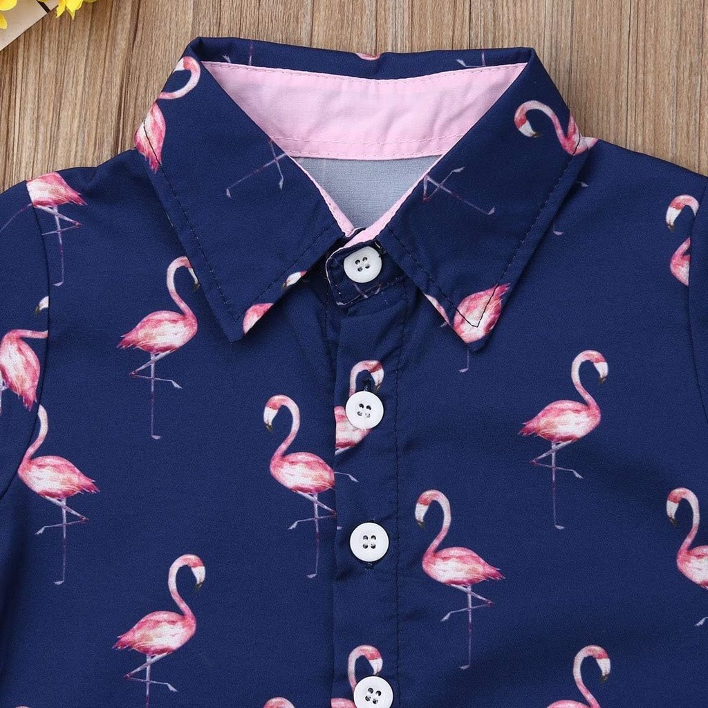 Toddler Baby Boy Flamingo Short Sleeve Button Down Shirt & Casual Shorts Set Summer Outfits Clothes