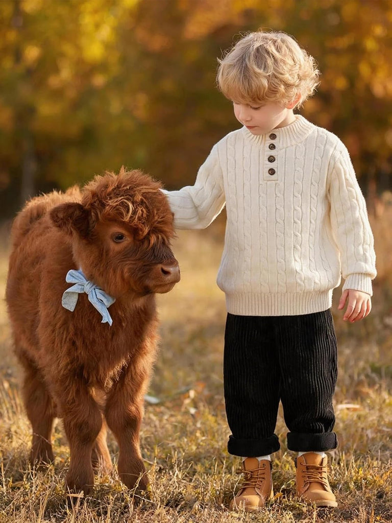 Boys Sweater Toddler Mock Neck Pullover Tops Button Cable Knit Sweaters