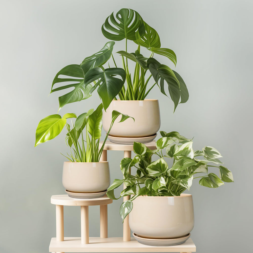 Ceramic Plant Pots - 9 Inch Round Planter, Ceramic Flower Pots with Drainage and Saucer, Modern Indoor Outdoor