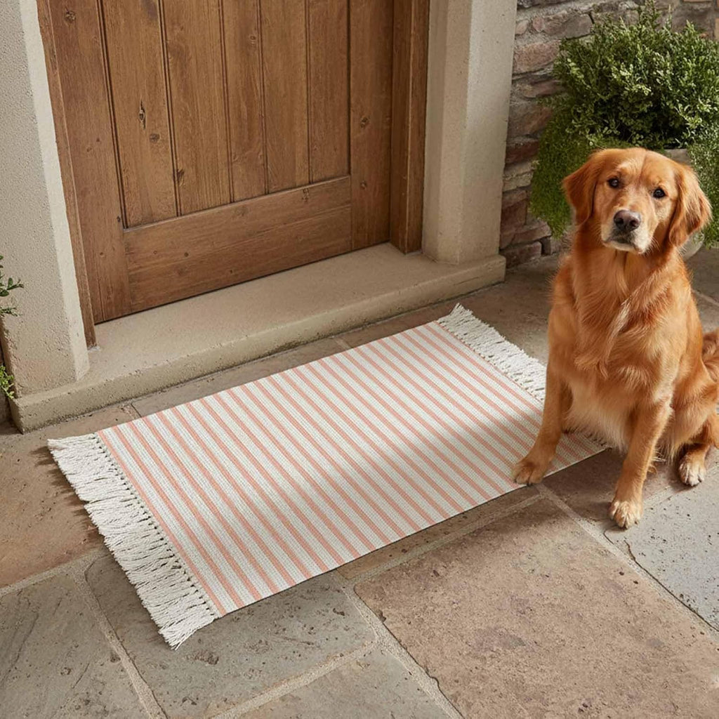 Minimalist Peach Pink Striped Runner Rug with Tassel Modern Art Vertical Line Print Entryway Rugs Washable