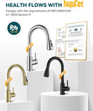 Kitchen Faucet with Pull Down Sprayer, Single Handle High Arc Kitchen Sink Faucet