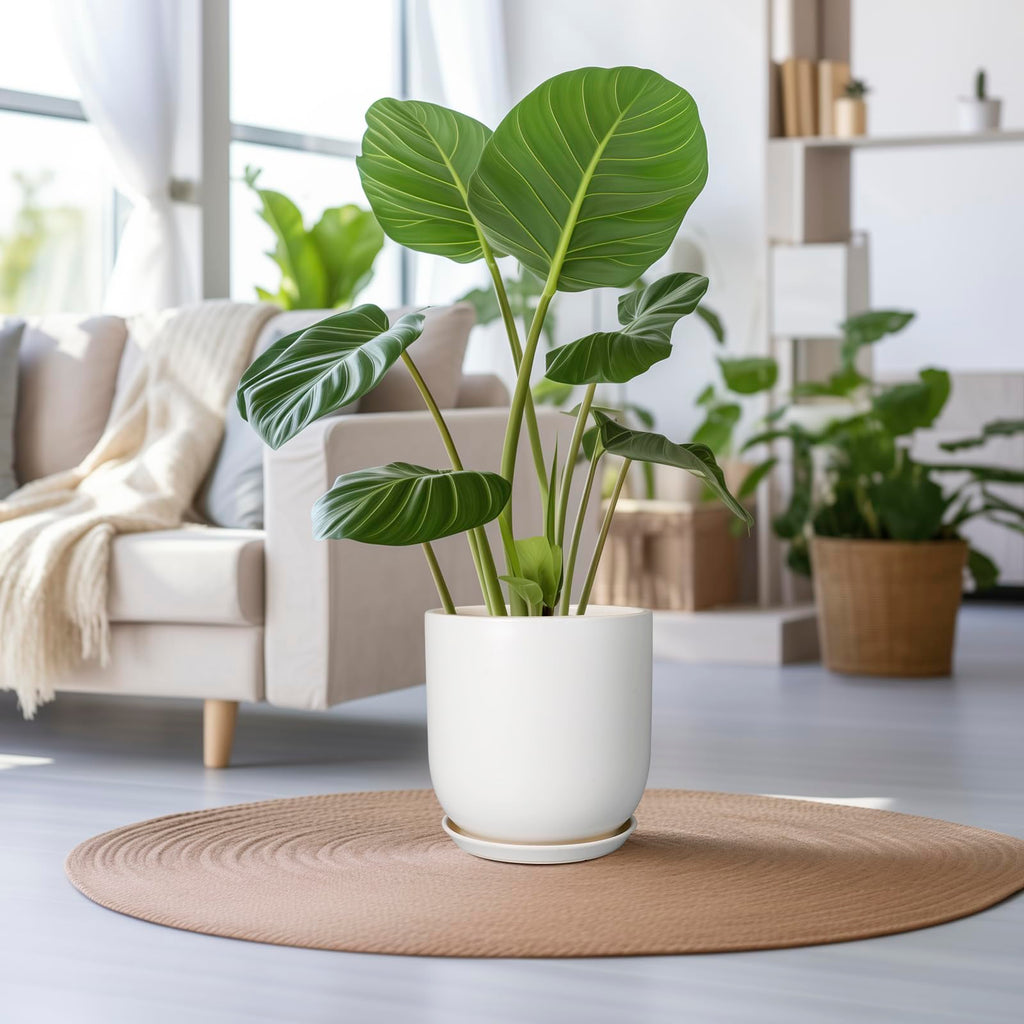 Plant Pot 12 inch - Ceramic Pot for Plants Indoor Outdoor Large Planter Pot with Drainage Hole and Saucer Mid-Century