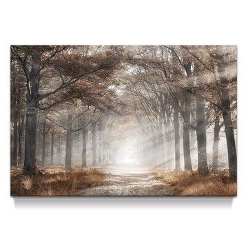 Autumn Forest Picture Wall Art: Large Tree Canvas Prints Morning Sunshine Painting Nature Orange Fall Landscape