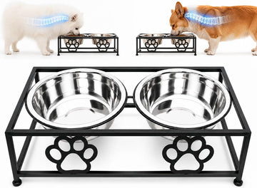 Raised Dog Bowls for Small Dogs, Elevated Bowl Stand Stainless Steel Dishes