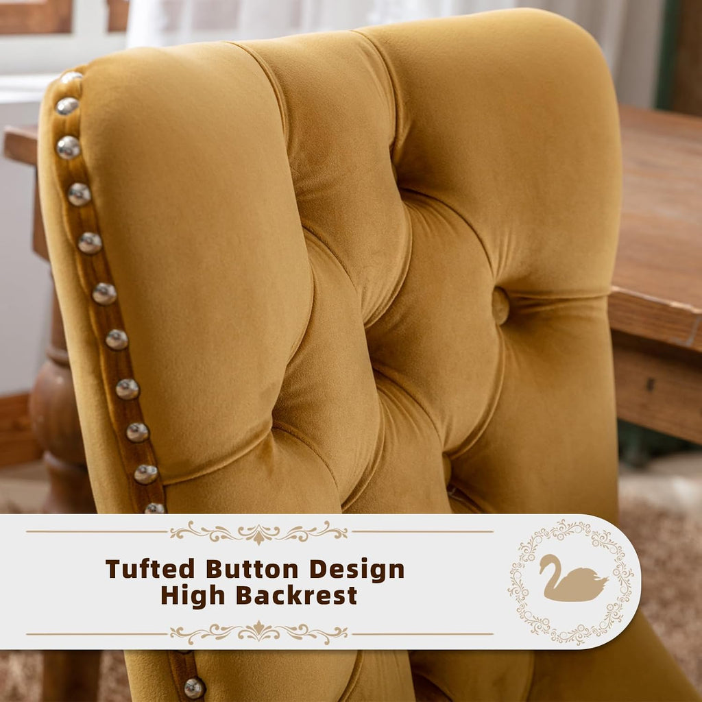 Velvet Upholstered Dining Chairs Set of 2, Modern Style Kitchen Side Chairs with Nailhead Trim and Wood Legs,Metal