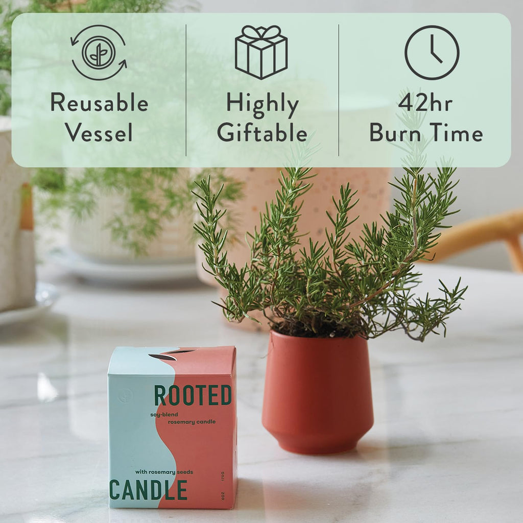 Soy Candle Planter - Grows Rosemary - Cucumber Scent - 6 oz