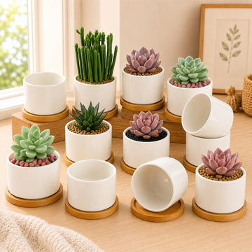 12 Pack 3.6" Ceramic Succulent Pots, White Planter with Drainage Tray