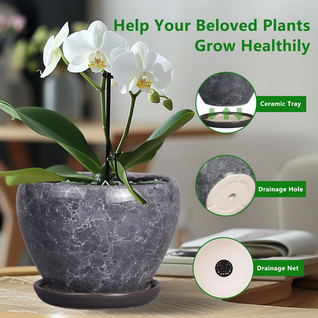 8 Inch Plant Pot - Ceramic Planter Pot with Drainage Hole and Saucer, Glaze Garden Pot Modern Flower Pot for Indoor