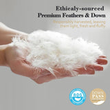 Organic Feathers Down Comforter Full, All Season Duvet Insert with 100% Organic Cotton Cover