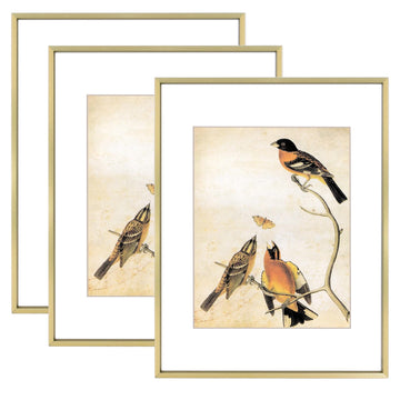 11x14 Brass Photo frames 3 Pack HD Glass Mat For 8x10 Wall Mount