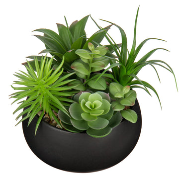 Fake Plants Artificial Succulents in Pots Faux Succulent Arrangement Potted Plant in Black Ceramic Planter Bowl Decor