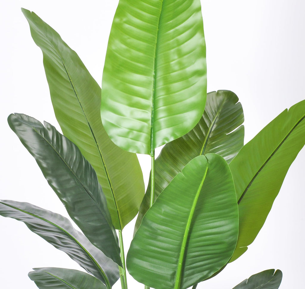 6FT Artificial Bird of Paradise Plant, Faux Palm Tree Potted Plant with Real Touch Leaves, Fake Trees Living Room