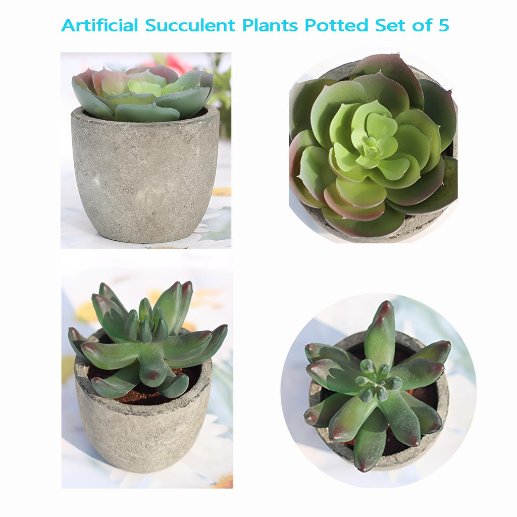 Artificial Succulent Plants Set, Low Maintenance Home Office Decor