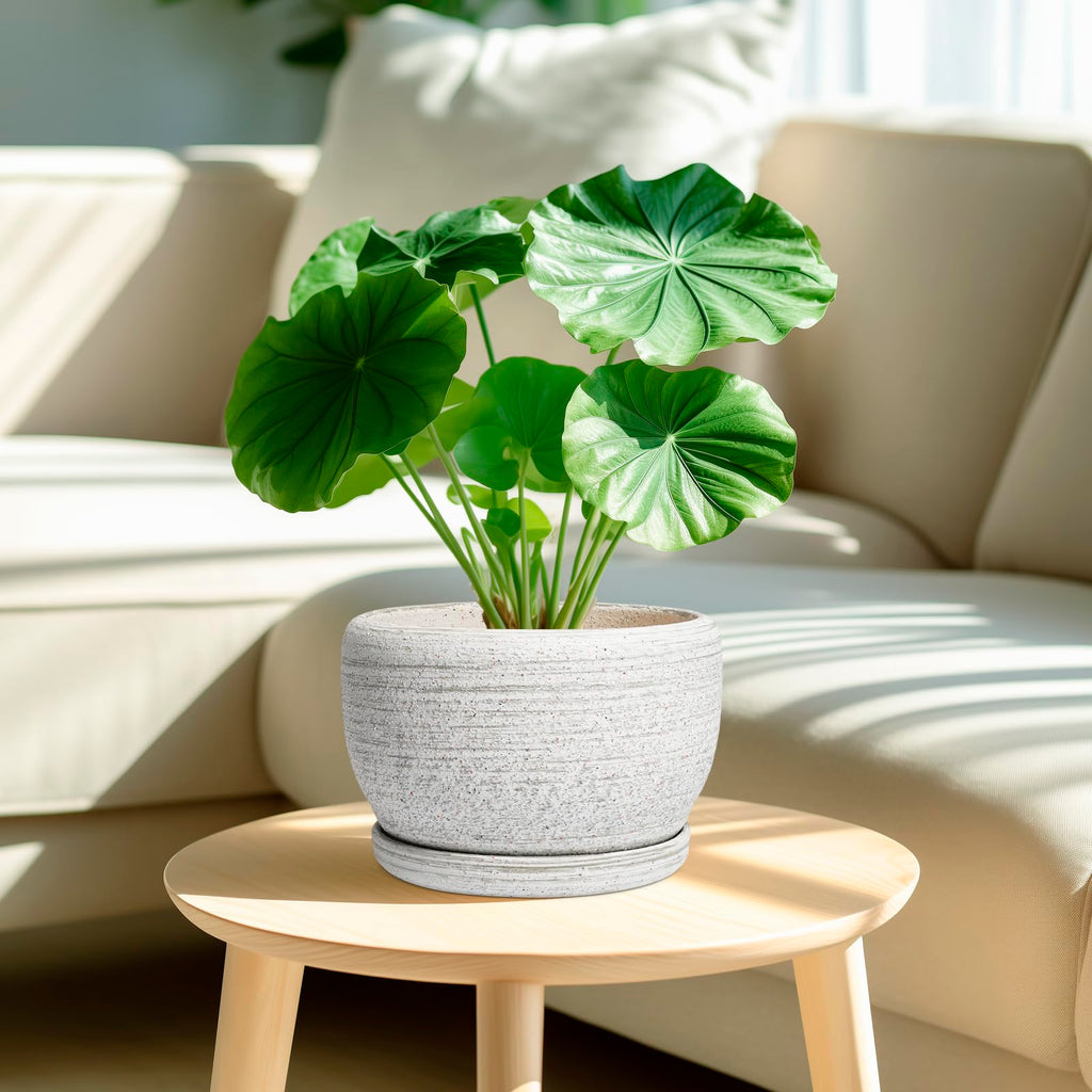 Ceramic Plant Pots - 8 inch Planter for Indoor Plants, Round Flower Pot with Drainage Hole and Plant Saucer, Modern
