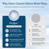 Summer Down Comforter Blanket Queen, Extra Lightweight Duvet Insert for Hot Sleepers