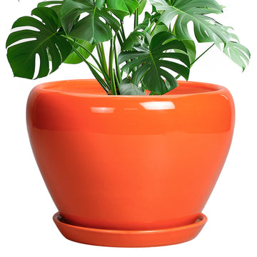Ceramic Pot for Plants - 10 Inch Plant Pot with Drainage Hole and Saucer, Modern Round Glaze Planter for Indoor