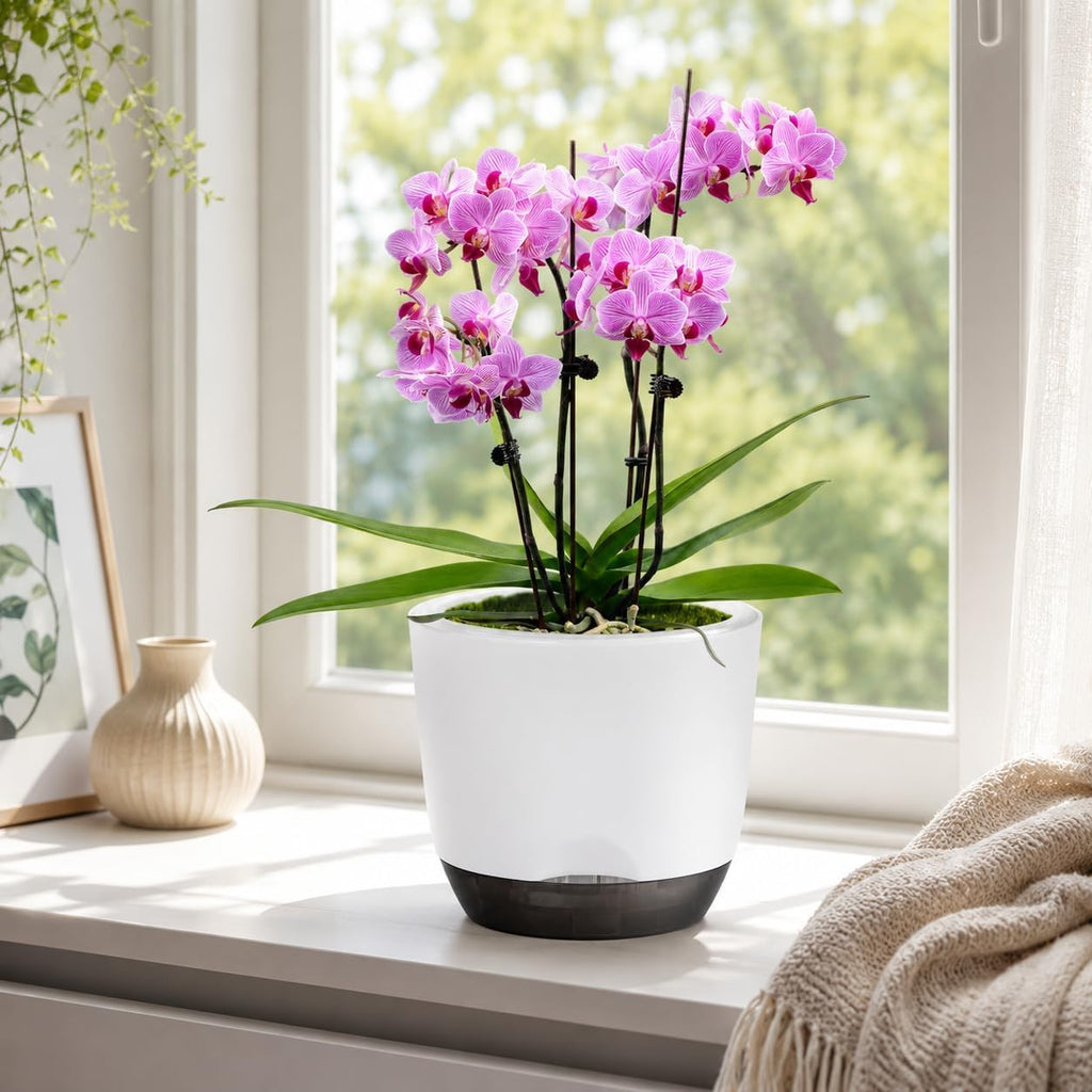 2 Pack 5.7 Inch Orchid Pots with Holes for Repotting, Double-Layer and Self Watering Orchid Pot with Good Air