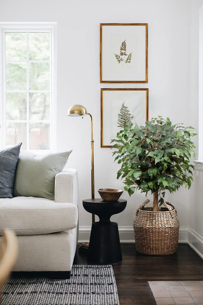 3ft Ficus Artificial Trees, 36" Tall Faux Plant with Cotton Basket Decor