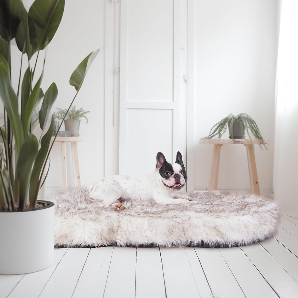 Luxury Faux Fur Dog Bed, 5 in Memory Foam(40L x 25W x 5H in, White)