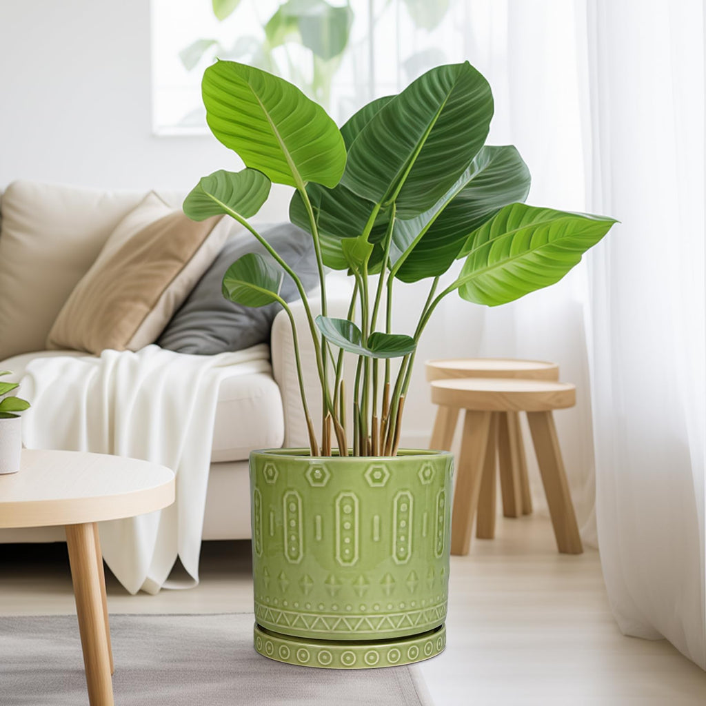 Ceramic Pot for Plants - 10 Inch Indoor Plant Pots with Drainage Holes and Saucer, Boho Round Planter Outdoor