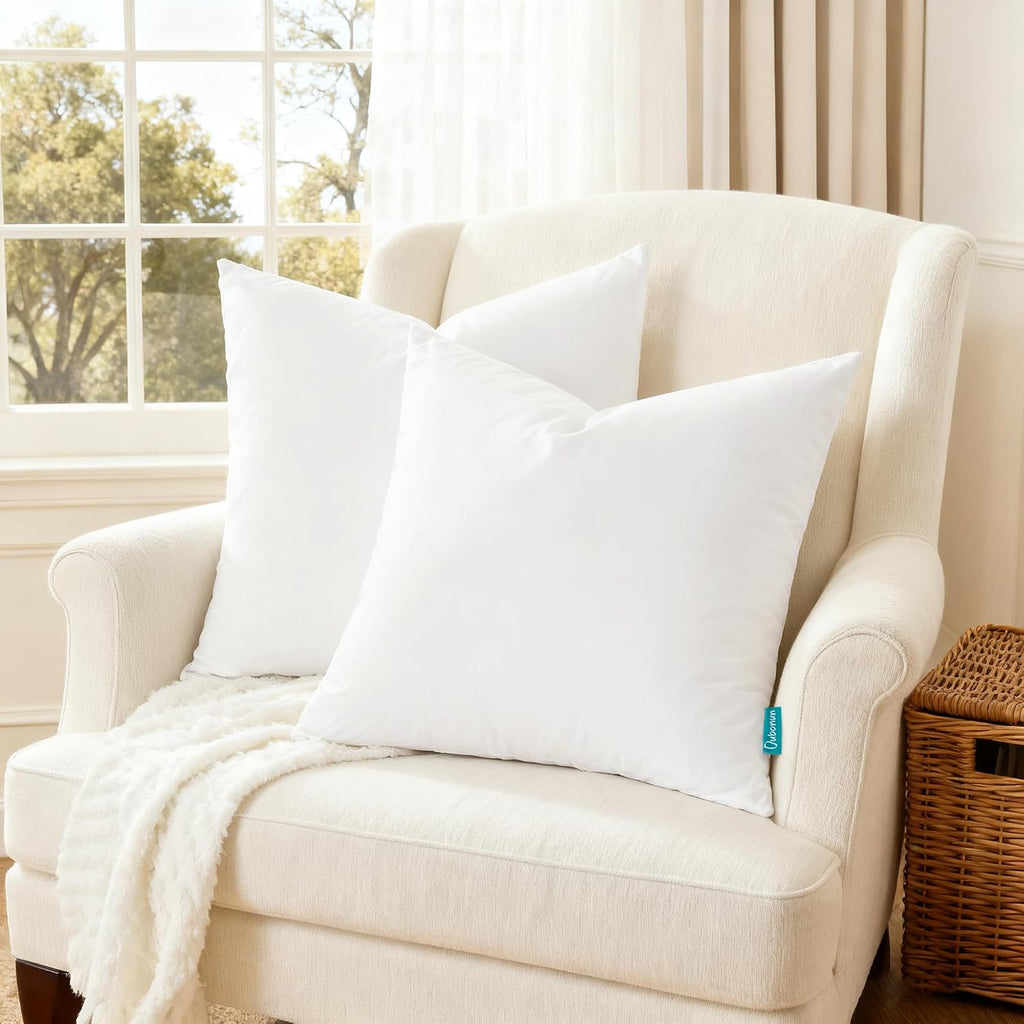 Throw Pillow Inserts, 22x22 - Set of 2