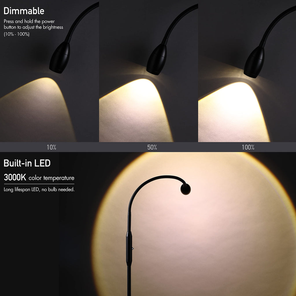 Ray - Adjustable LED Beam Floor Lamp, Dimmable and Zoomable Spotlight, Flexible Gooseneck, Reading/Crafting Standing