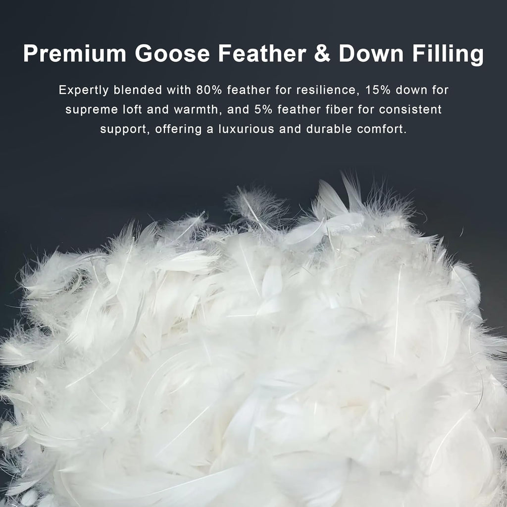Goose Feather Down Comforter Queen, White 100% Cotton Duvet Insert