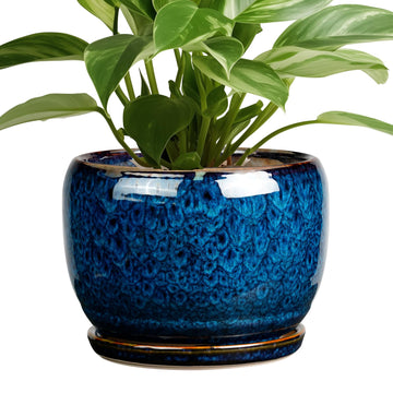 Ceramic Planter 8 Inch - Pot for Indoor Outdoor Plants Round Ceramic Plant Pot with Drainage Hole and Saucer Modern