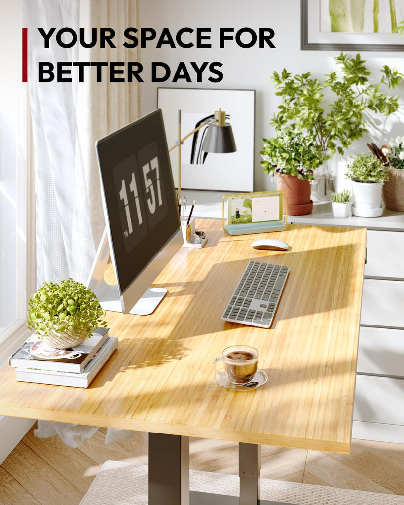 Solid Bamboo Dual Motor Standing Desk, 220 lbs, 55×28