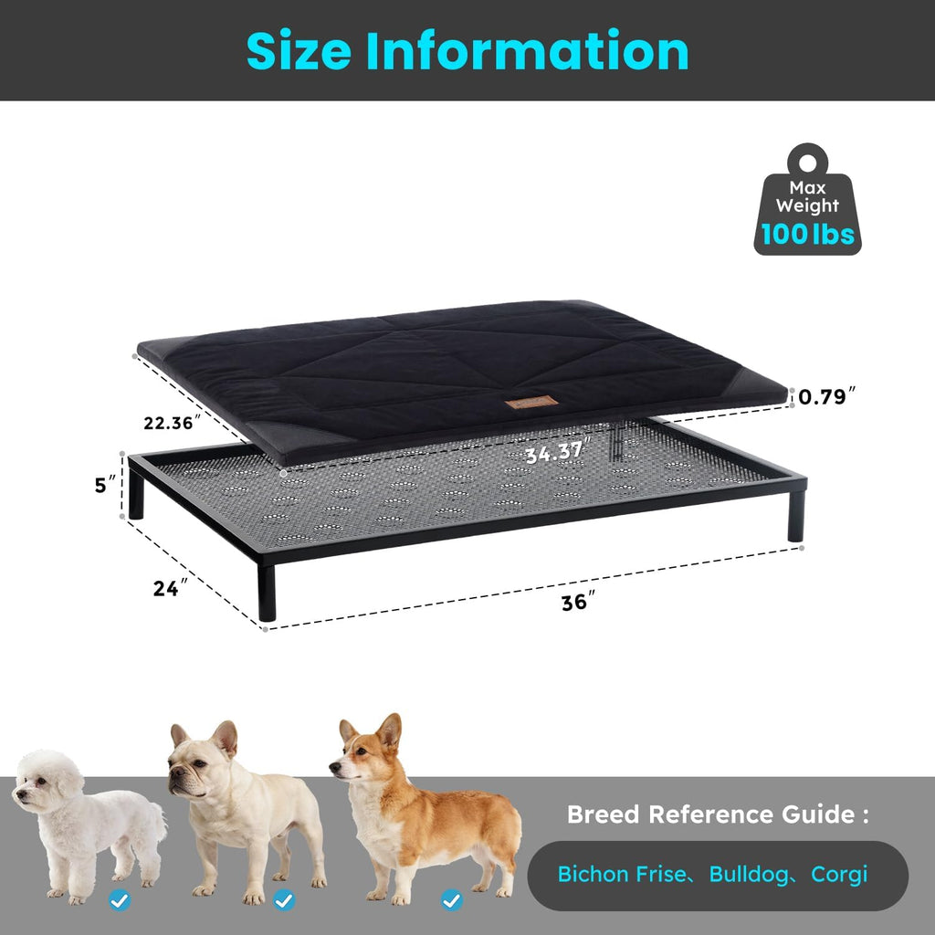 Chew Proof Elevated Dog Bed for Medium Dogs, 36" x 24" x 5", Black