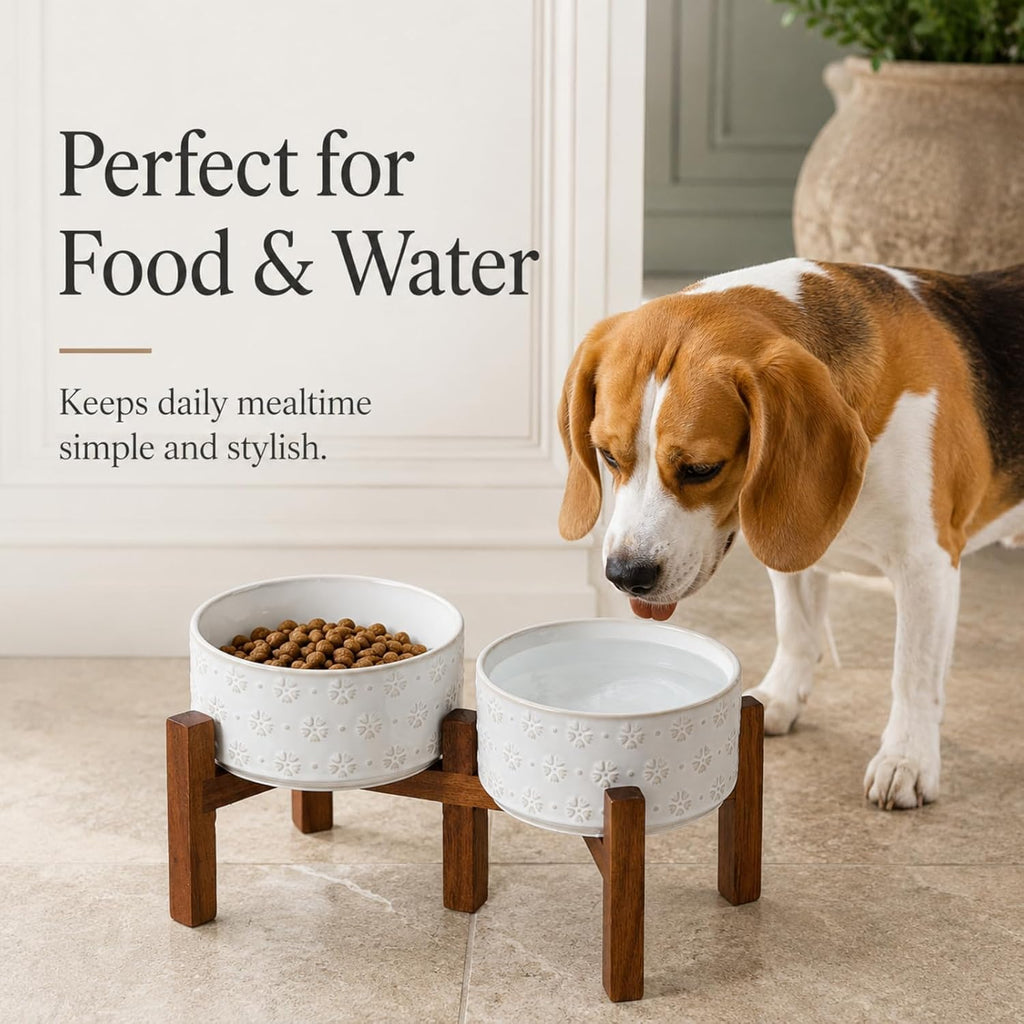 Elevated Dog Bowls, Raised Ceramic Dog Bowl for Small & Medium Dogs