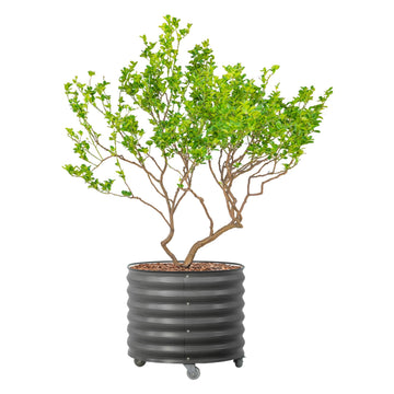 Rolling Metal Citrus Tree Planter Pot, 27′′ Round Planter Box for Porch Patio & Backyard, 45 Gallon Large Planter Pot