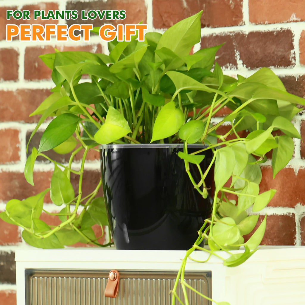 5/6.7 Inch Self Watering Pots for Indoor Plants, 8 Packs Self Watering Planters for Orchid, Spider Plant, Devil's Ivy