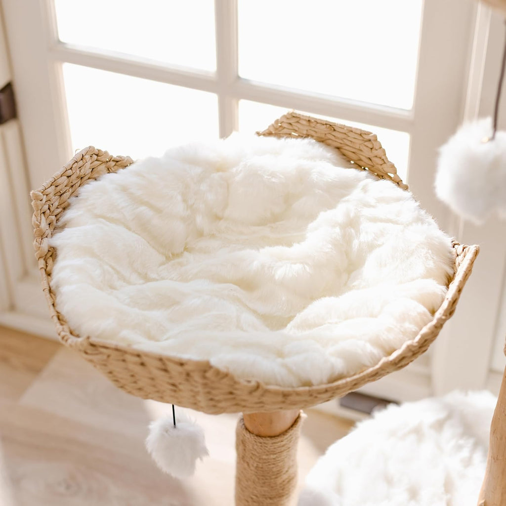 Modern Cat Tree Tower, Real Branch Wood Condo for Large Cats