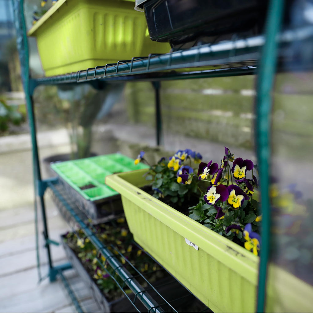 50% Extra Wide Mini Greenhouse 5 Tier Portable Plant Green House 40in Wide -Sturdy Gardening Shelves with PVC Cover