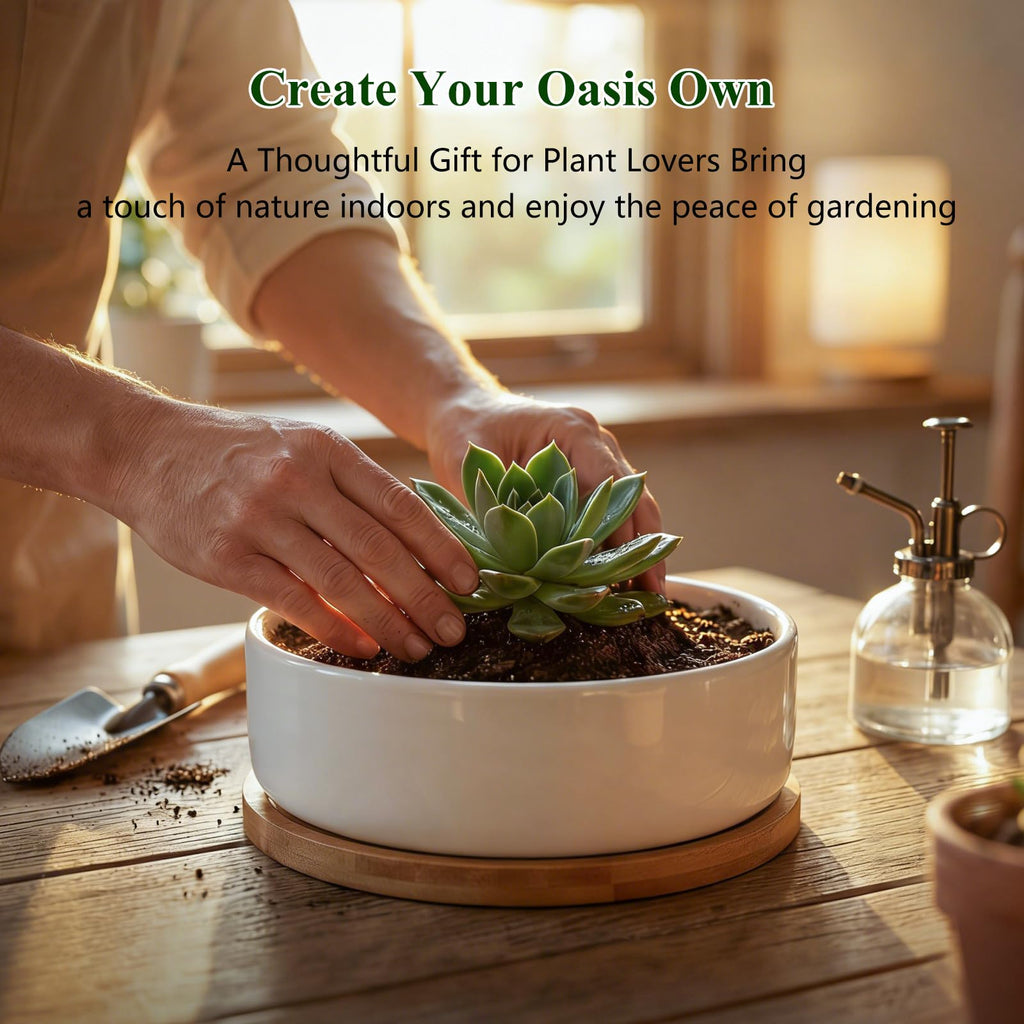 6 Pack 6" Ceramic Succulent Pots, White Planters with Drainage Tray