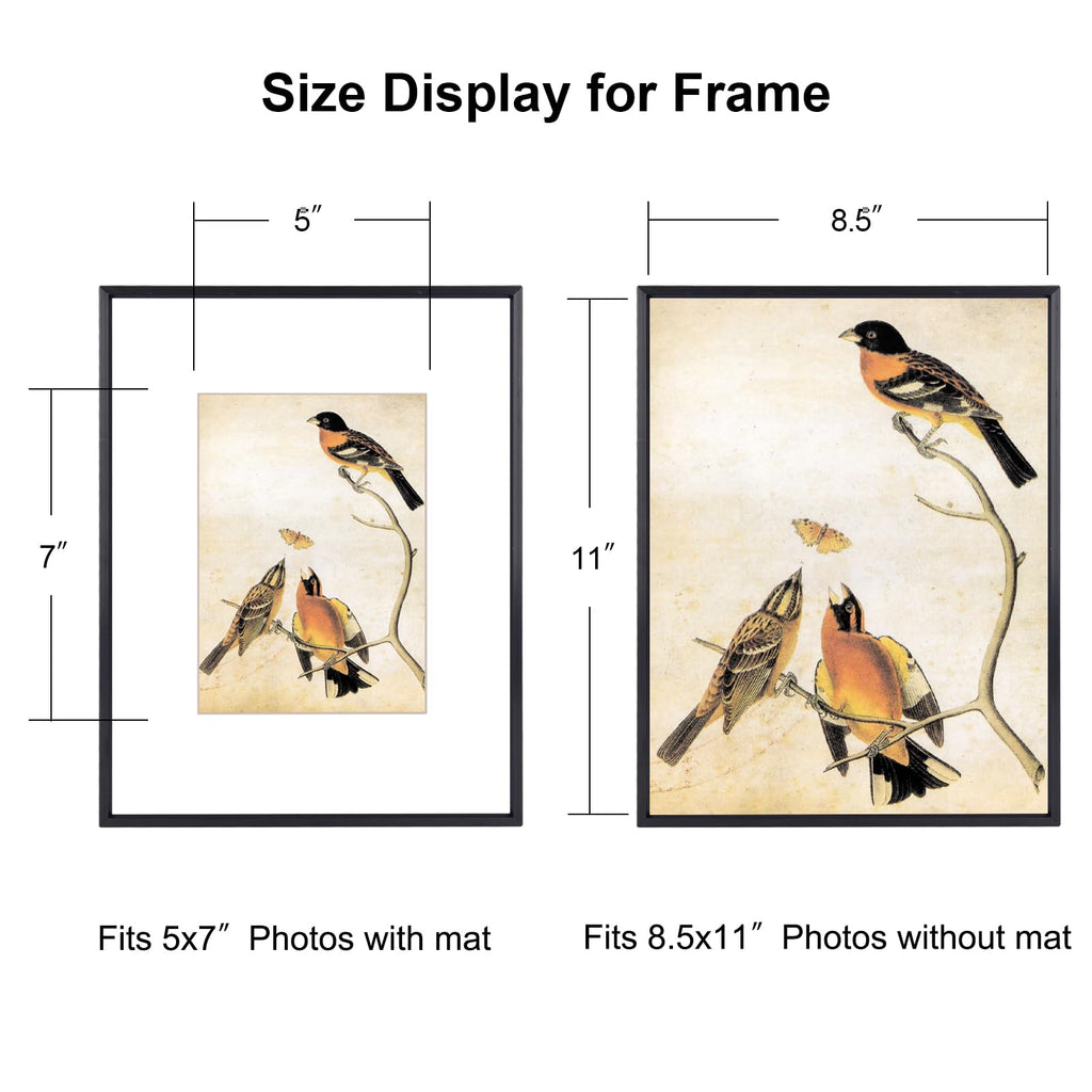 8.5x11 Black Metal Photo frames 3 Pack HD Glass Mat 5x7 Wall Table