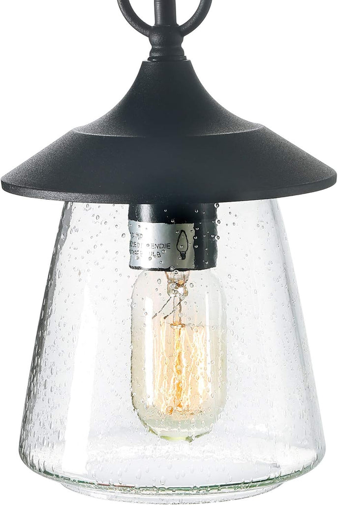 Outdoor Pendant Lights, Porch Fixture in Painted Black Metal with Clear Bubbled Glass Globe