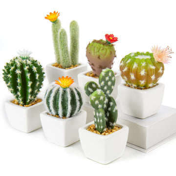 Small Artificial Cactus Plants in Ceramic Pots 6 Pcs Potted Fake Cactus