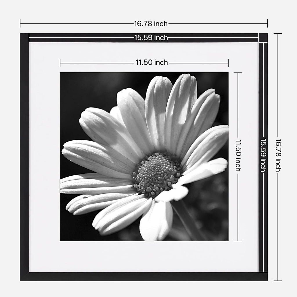 16x16 Picture Frame Set of 6, Display 12x12 with Mat | Gallery Wall Decor, Sturdy & Lightweight, Clear Acrylic, No
